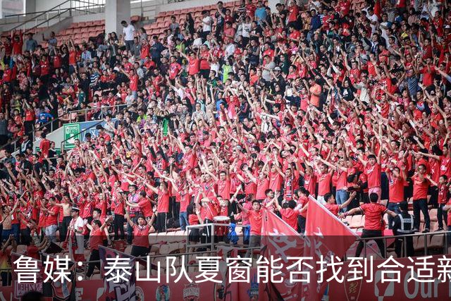 鲁媒：泰山队夏窗能否找到合适新援，受球队预算等多重因素影响